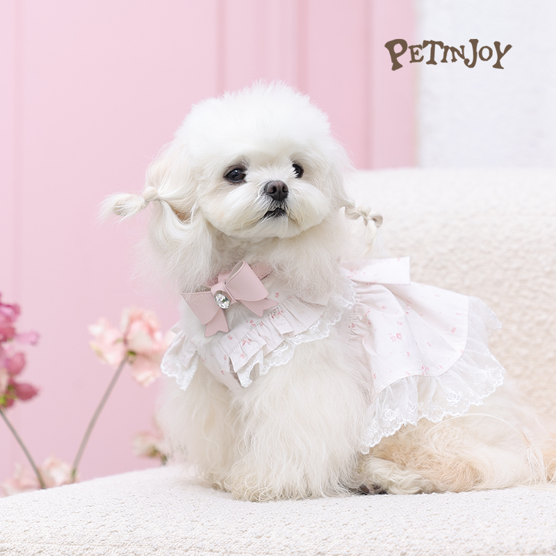 Petinjoy 「晨露玫瑰」花园系列棉蝴蝶结吊带裙春新款
