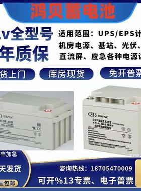 BATA鸿贝蓄电池FM/BB1228T/12V4A7A12A18A20A24A28A33A40A65A100A