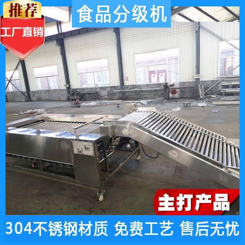 苹果橘子分级机多功能选果机圆形水果分选机水果分级机厂家