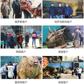 主题公园装 大型仿真战斗恐龙 电n动牛龙禽龙打斗组模型 饰摆件