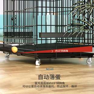 鸡笼子家用加粗大号养殖笼鸡舍鸡笼鸭笼鹅笼狗笼自动滚蛋鸡笼葡乐