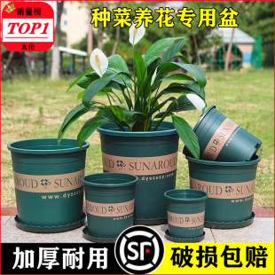 经典 玫瑰树脂塑料花盆 加仑花盆特大号绿萝盆栽加厚小花盆阳台月季