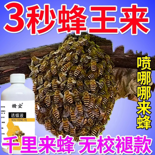 强力诱蜂液诱蜂膏招蜂水专用香精蜂王信息素引蜂中蜂捕捉蜜蜂神器