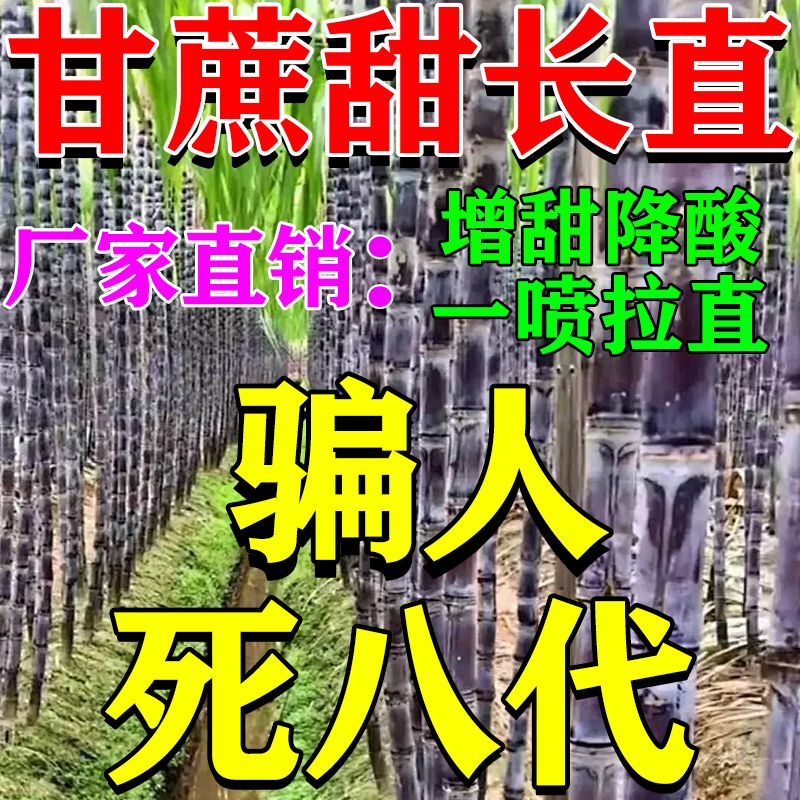 甘蔗拉长增甜剂920甘蔗专用肥增加含糖量拉直增粗拔节长灵壮丰素