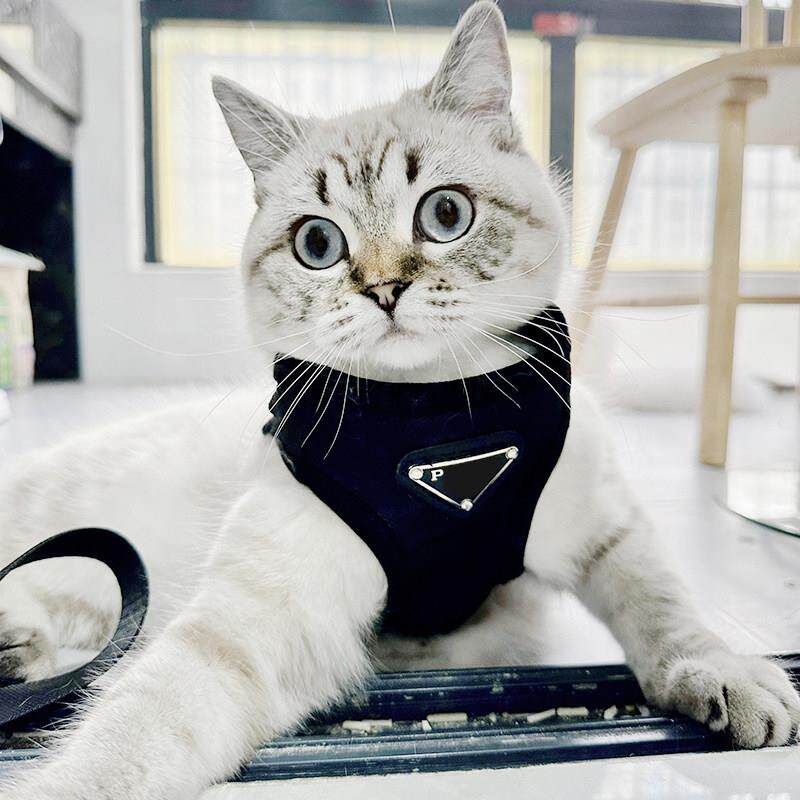 潮牌ins狗狗项圈胸背带狗脖圈背心式小型犬猫咪牵引绳防挣脱外出