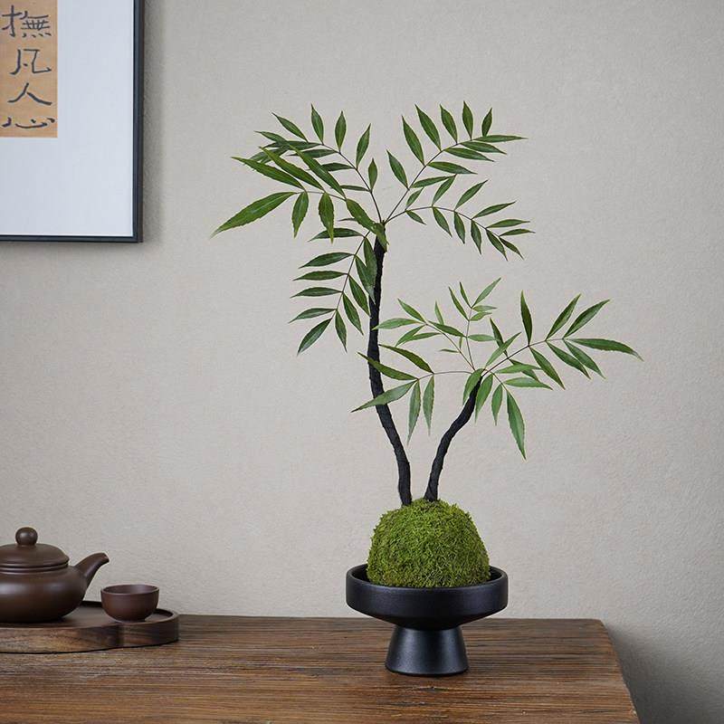 十大功劳苔藓球新中式绿植盆栽客厅室内桌面植物茶几小众盆景好养,鲜花速递/花卉仿真/绿植园艺,绿植,淘宝优惠券,粉丝福利购,淘宝优惠卷