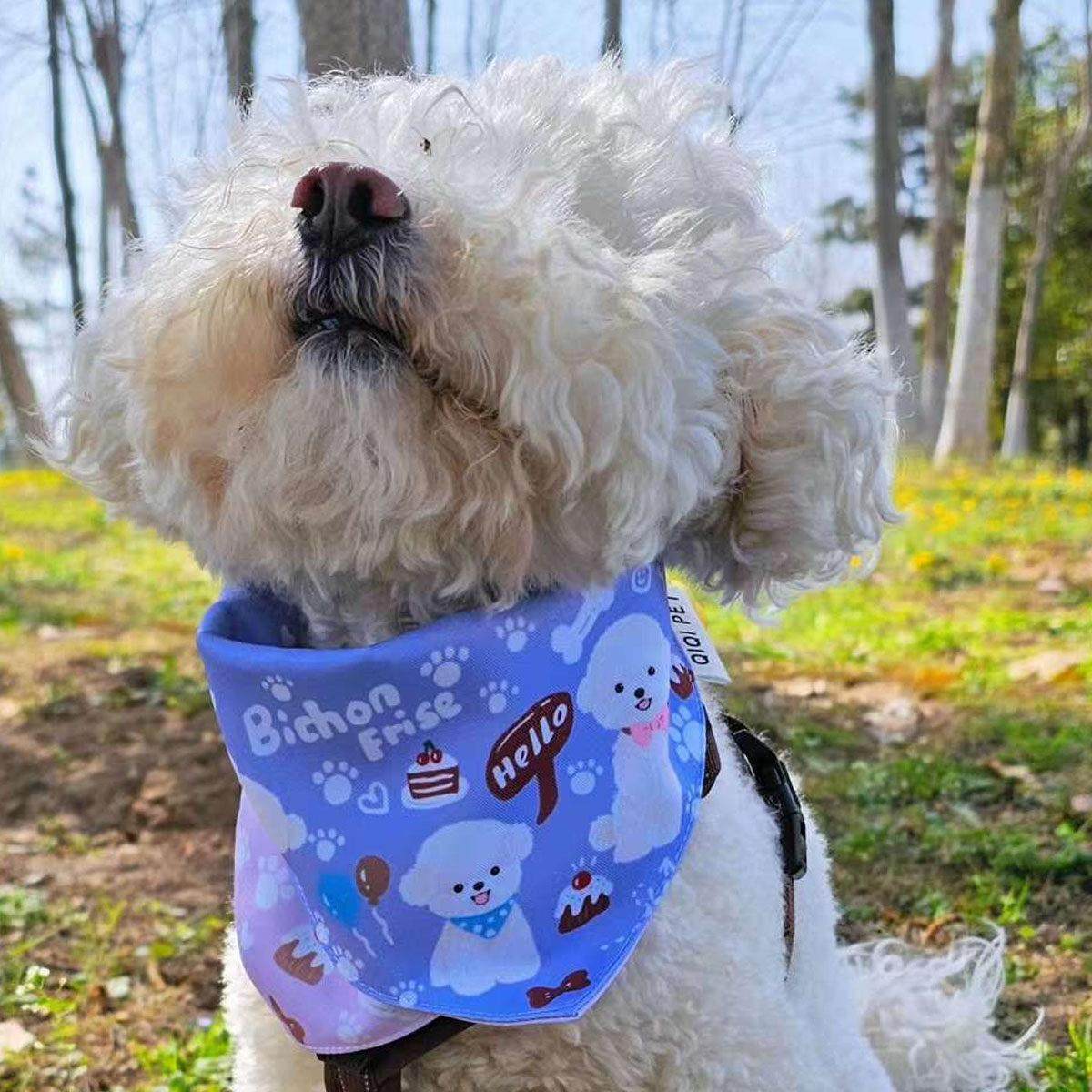 原始比熊插图周边宠物围巾狗唾液毛巾颜色匹配三角围巾形状围兜双,宠物/宠物食品及用品,围巾/口水巾,淘宝优惠券,粉丝福利购,淘宝优惠卷