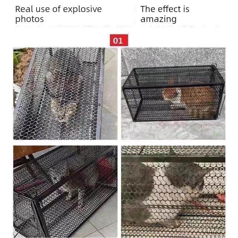 抓猫器,全自动猫笼,大型猫专用抓猫器,野猫救援器,流浪猫救援