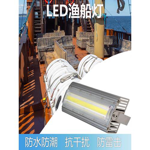 1224vled低压投光灯户外36伏直流船用防干扰照明220v防水探照射灯
