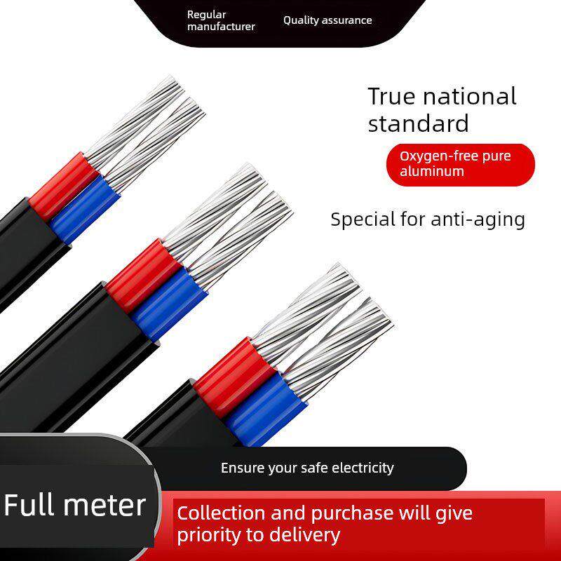 国家标准双芯电缆铝芯户外防晒2.5 4 6 10 16 25平方米双芯线铝芯