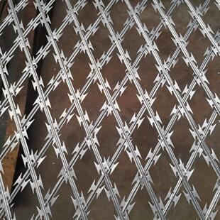 刀片刺网防爬防盗刀刺网防猫网刀片焊接网斜方孔护栏围网刺绳加厚