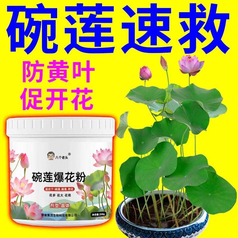 碗莲专用营养液通用水培植物有机水溶肥治黄叶液体肥家用植物盆栽,鲜花速递/花卉仿真/绿植园艺,家庭园艺肥料,淘宝优惠券,粉丝福利购,淘宝优惠卷