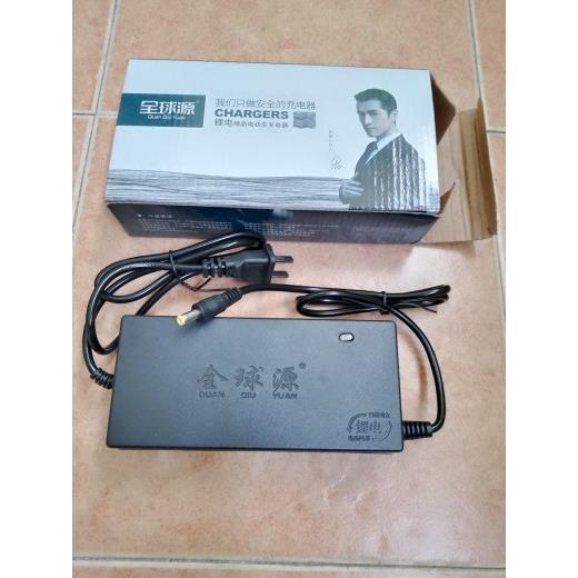 锂电池电动脚踏车充电器48V60V安全智能自动断电全球源充电器锂充