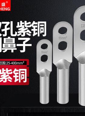 双孔铜接线 线端子冷压端子紫铜镀锡电缆接头DT25-400平方线 线耳