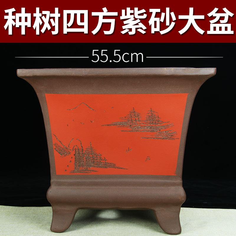 55口径四方种树透气特大号紫砂花盆超大号发财树铁树老桩盆景盆