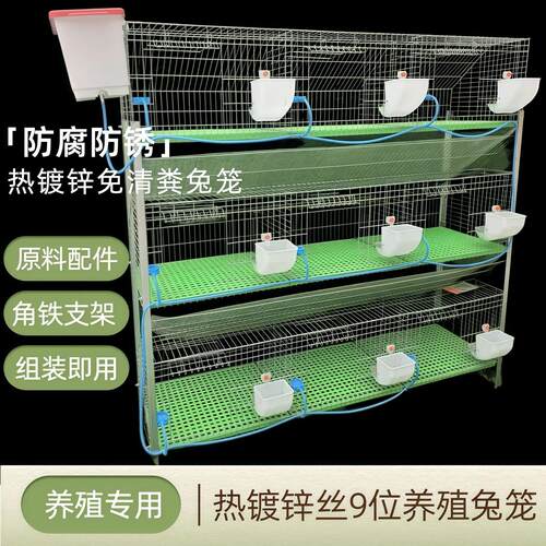 兔笼子养殖场专用母兔生产繁殖笼新式自动清粪新型特大号兔窝兔笼