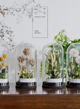 植物永恒的礼物花园斯堪的纳维亚干花家玻璃盖标本展示珠宝研究装