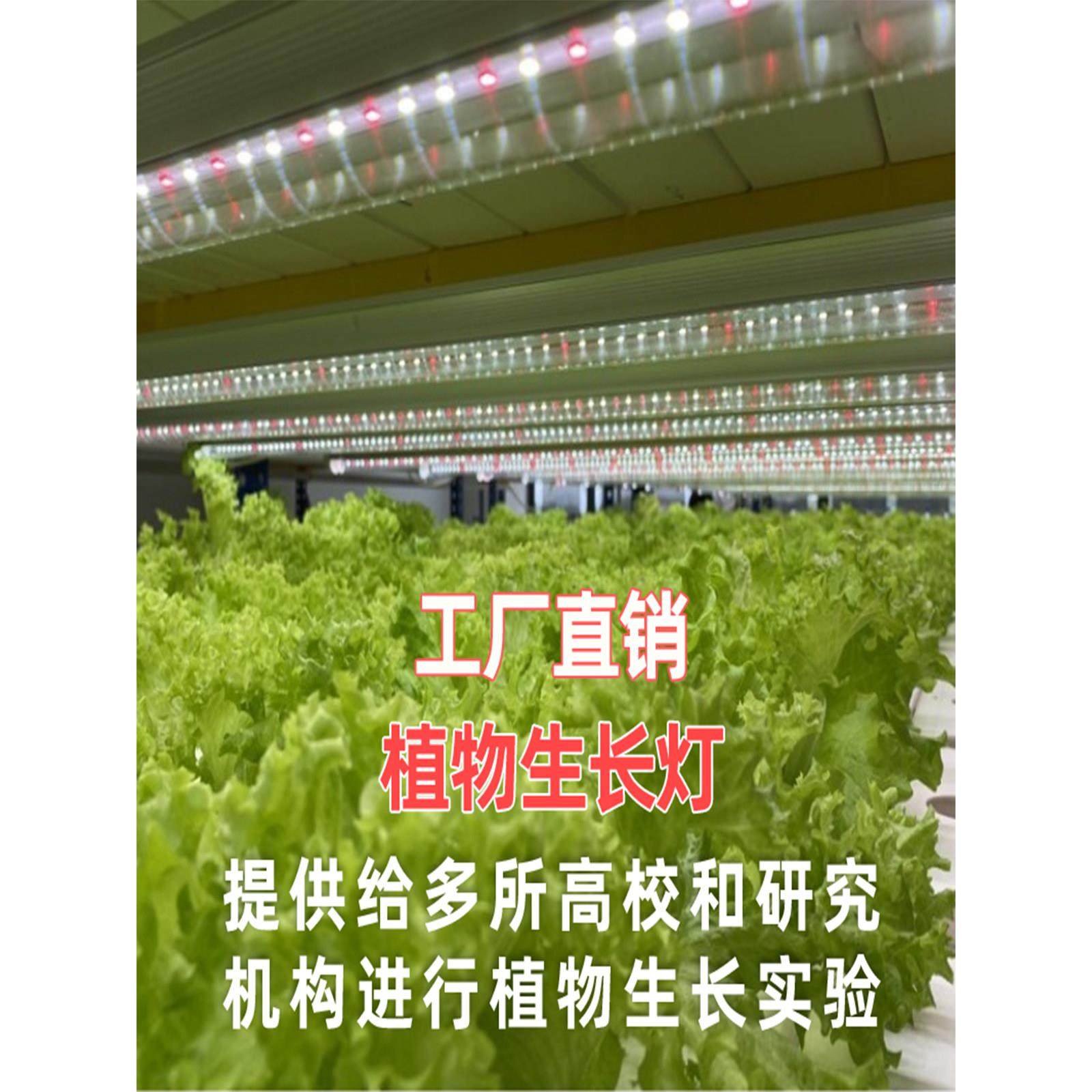全光谱植物生长补光灯仿太阳光室内种植草莓水培叶菜蔬菜花卉绿植,家装灯饰光源,植物生长灯,淘宝优惠券,粉丝福利购,淘宝优惠卷