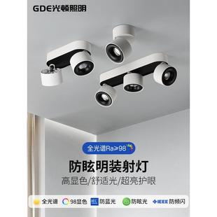 cob深防眩射灯餐厅客厅斗胆灯聚光灯多头双头三头吸顶式 明装 筒灯