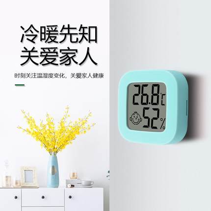 鸡温度计 饲养箱芦电子温湿度计丁家用室内房精准高精度创意