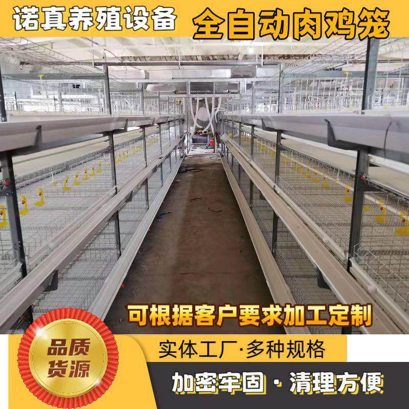 自动喂料肉鸡笼镀锌鸡笼养鸡设备大型养殖鸡舍肉鸡笼厂家,农机/农具/农膜,农用防护器具,淘宝优惠券,粉丝福利购,淘宝优惠卷