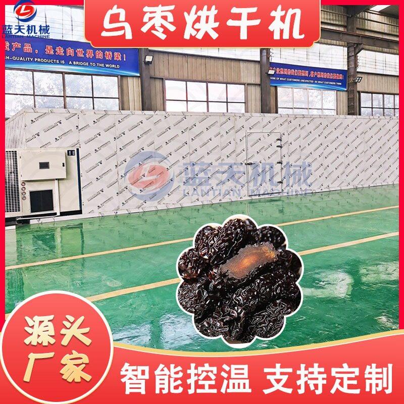 全自动山西乌枣烘干机 空气能黑枣君迁子烘干箱 紫晶枣烘干房设备