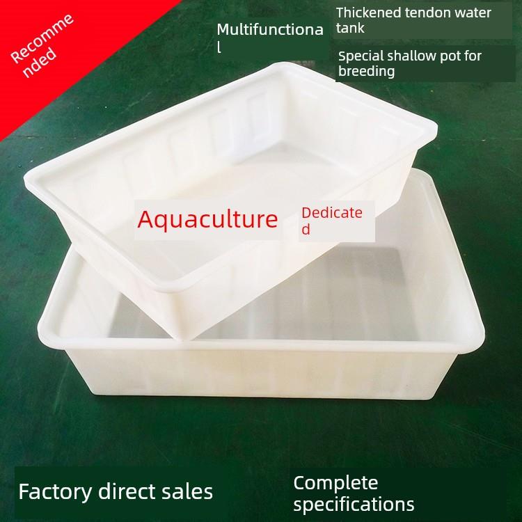 加厚牛筋塑料矩形水箱养殖箱鱼龟养殖浅盆储水箱周转储箱