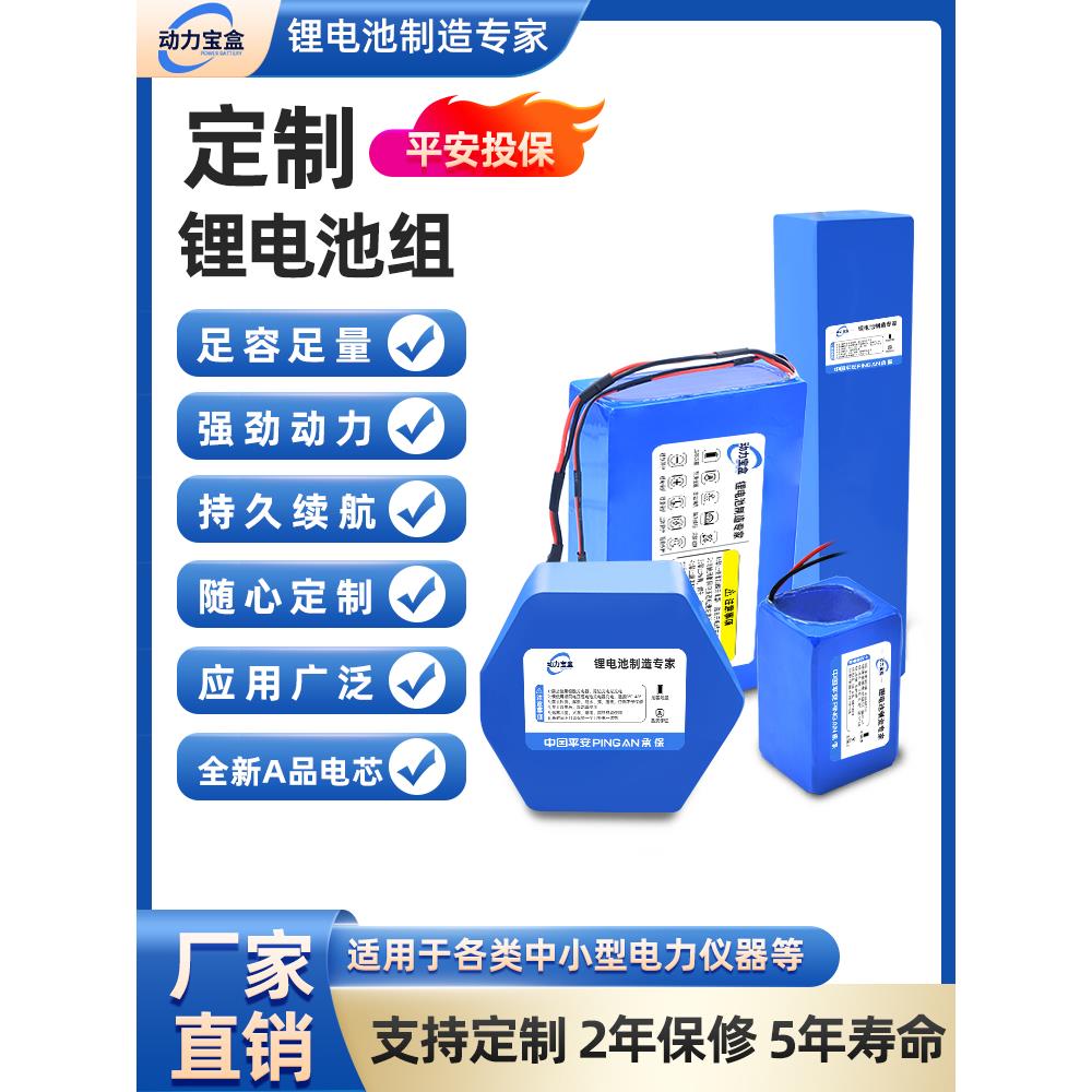 定制12V24V48V60V大容量机器人动力电池洗车机监控割草机锂电池组