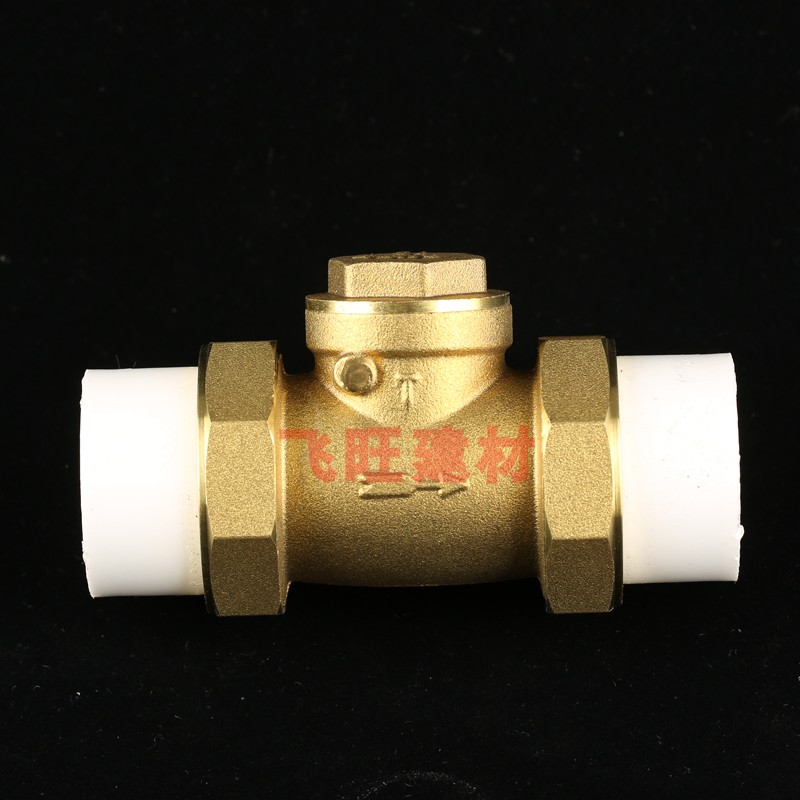 20 25 32 40 50 63PPR止回阀4分6分1寸卧式黄铜PPR热熔水管单向阀
