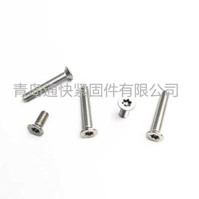 ISO 14581梅花槽沉头螺钉 不锈钢梅花沉头带柱防盗螺钉 螺丝定 做