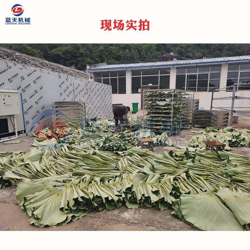 大型气能枸烘杞烘干机 五味子LT-ZYC黄蜀自葵烘干机 药材空干箱设,机械设备,干燥机/干燥箱/烘干机,淘宝优惠券,粉丝福利购,淘宝优惠卷