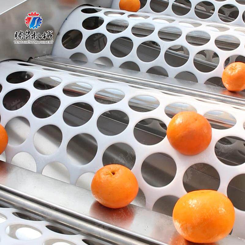 筛选大小分级 滚杠机输送  果分LYD选大小设备自动水水果筛选机