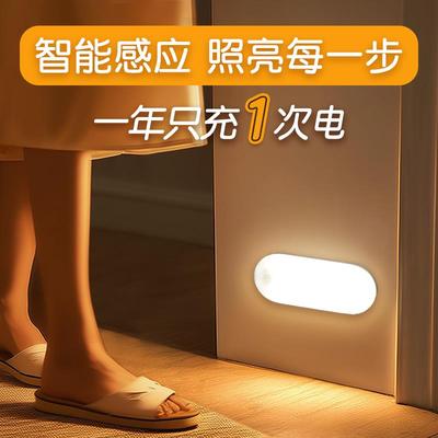 Lyridz里睿智能人体自动感应灯夜间厕所卧室楼梯过道充电小夜灯