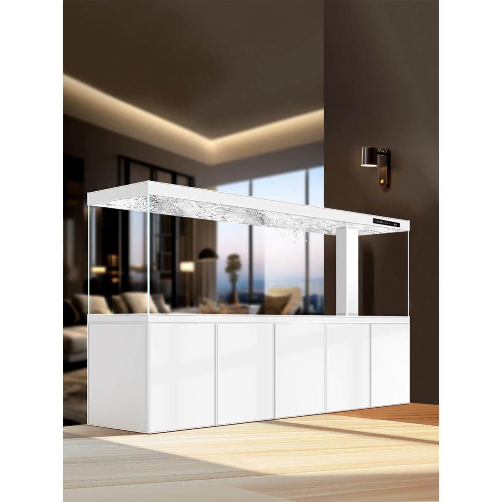 2025新鱼缸客厅大底过滤金和银红龙超白玻璃办公室公司屏幕水族馆