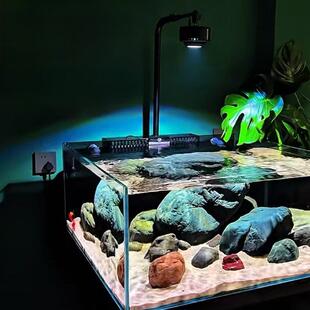 KASSRAY卡瑟锐鱼缸灯水草原生灯led全光谱灯架造景射灯曾艳爆藻灯