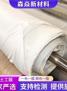 农业水水池防渗膜QDX两耐布一膜一布一膜复合膜HD蓄PE防腐复合土