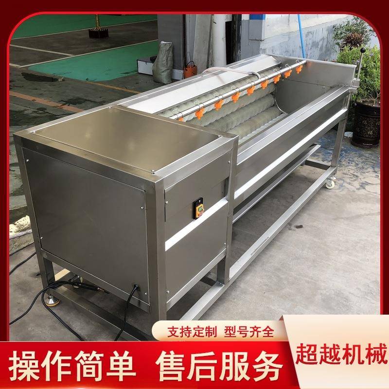 豆清洗去皮机 毛辊清洗机去皮 果毛蔬类清洗机刷高FDG压清洗设土
