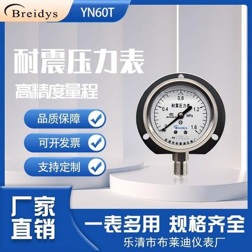 压力表中文面板YN60T径向带边耐震压力表油压液压气压水压真空表