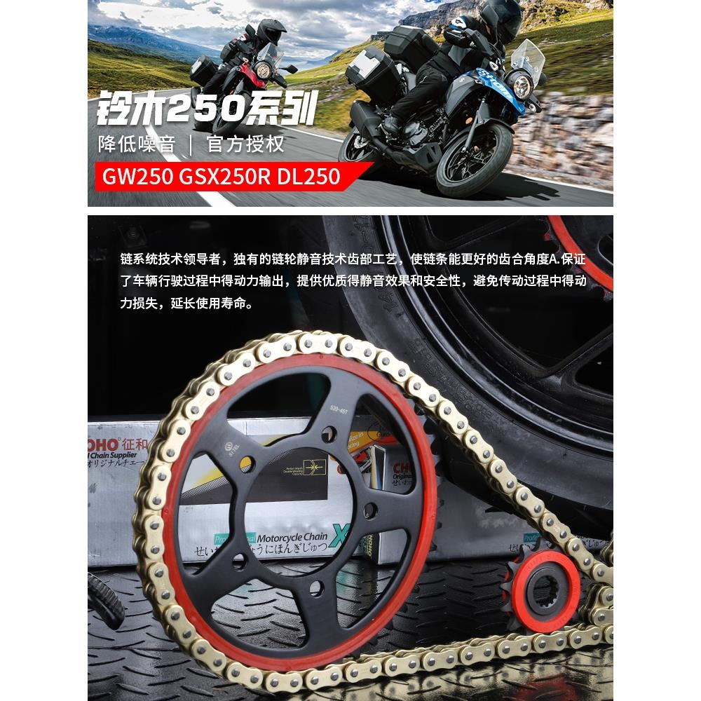 适铃木GW250 GSX250R DL250牙盘改装静音链轮大小飞征和油封链条