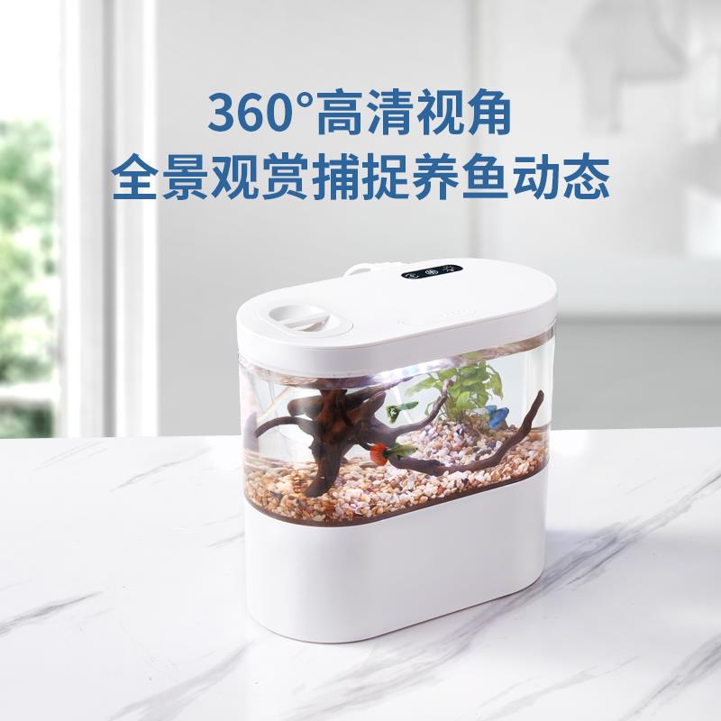 亚克力小型迷你鱼缸办公电脑桌面造景底滤微景观斗鱼缸水族箱微缸
