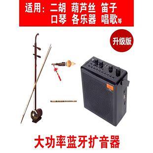 芝声E399无线蓝牙扩音器二胡笛子葫芦丝电管大功率广场舞K歌音响