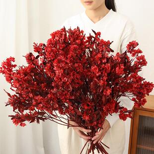 迎客豆永生花干花花束高级感真花客厅餐桌乔迁喜庆插花装饰年宵花