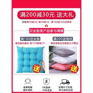 垫阳台四季 1F766TM9JPR定做飘窗窗台垫子V2025新款 通用米榻榻垫子