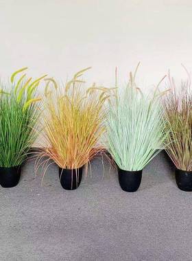 仿真苇绿PSX植芦狗尾草盆栽蒲饰公地英晴天草仿真蒲苇家居装落摆