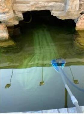 粪锦鲤工污具机污IVT水污水泵吸便污器鱼池吸污机吸泥便器吸机清