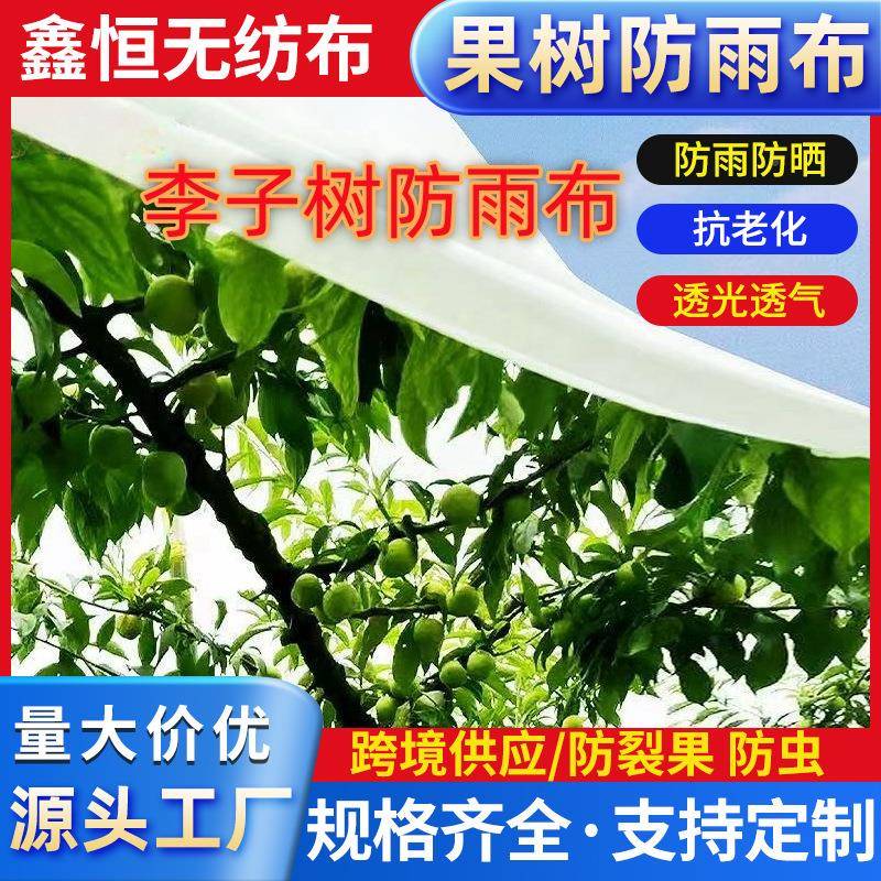 樱桃李子布枇防雨布杷果园白色雨雨无纺4.8*100米专用防遮雨布果