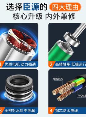 新220潜不V锈钢款水泵自动带浮球农用排污泵家用抽水ltao5362泵农