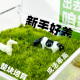 植物幻想 有块地桌面草坪 苔藓微景观桌面懒人绿植好养自然植物