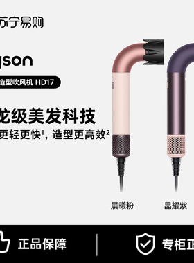 戴森HD17精准造型水管吹风机家用速干护发电吹风官方旗舰2875