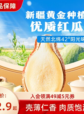 薛记炒货 红瓜子120g/袋装五香味红西瓜子红色瓜子送礼推荐年货礼